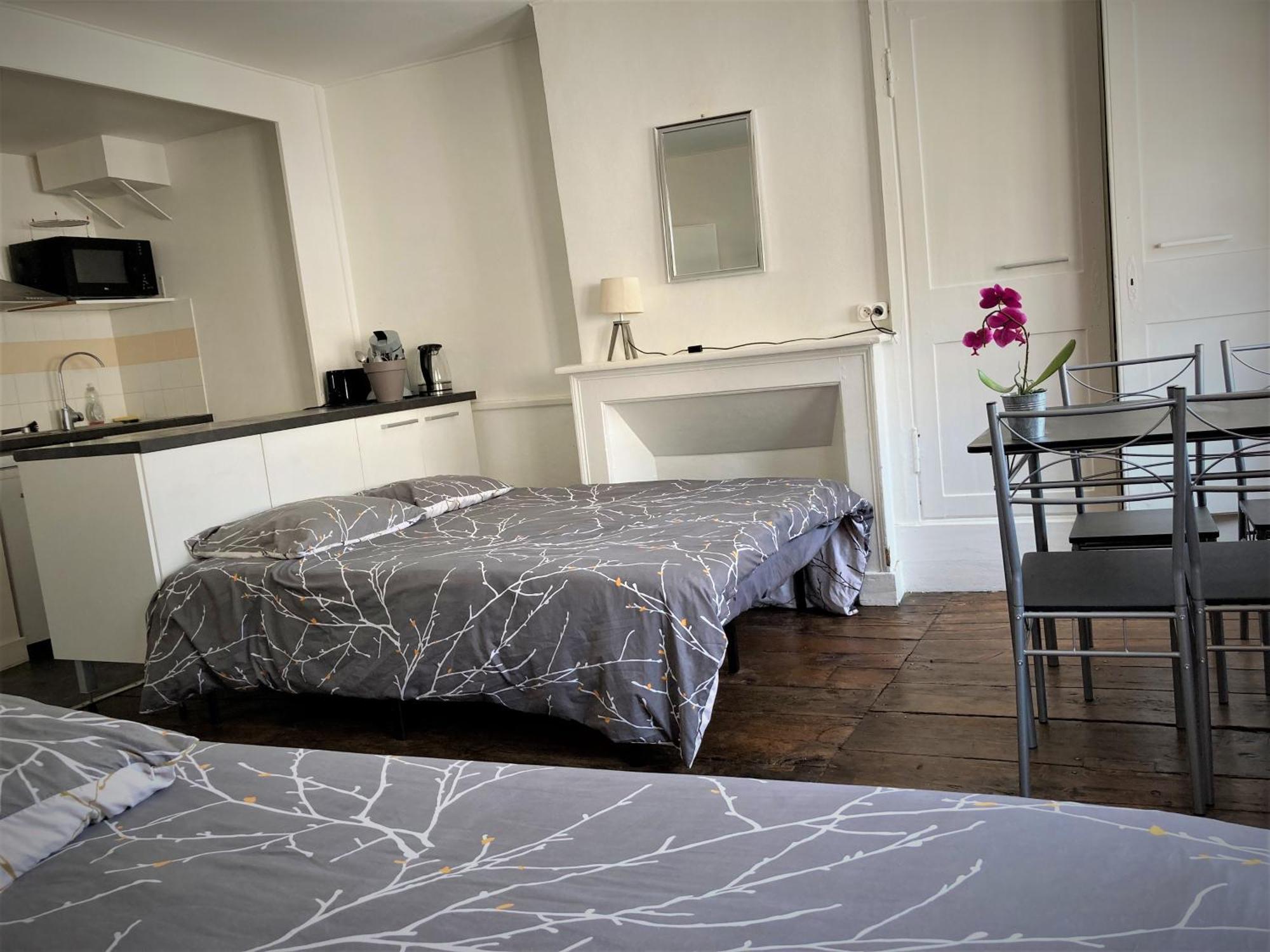 Studio Double 31 Centre De Limoges Wifi Buitenkant foto
