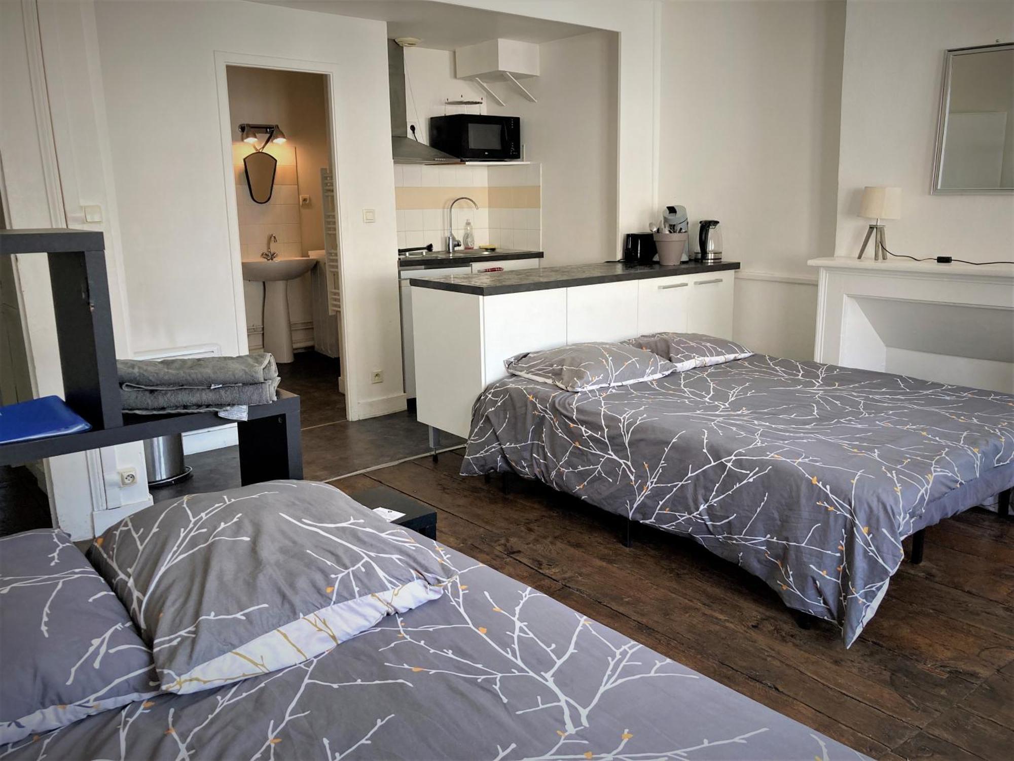 Studio Double 31 Centre De Limoges Wifi Buitenkant foto