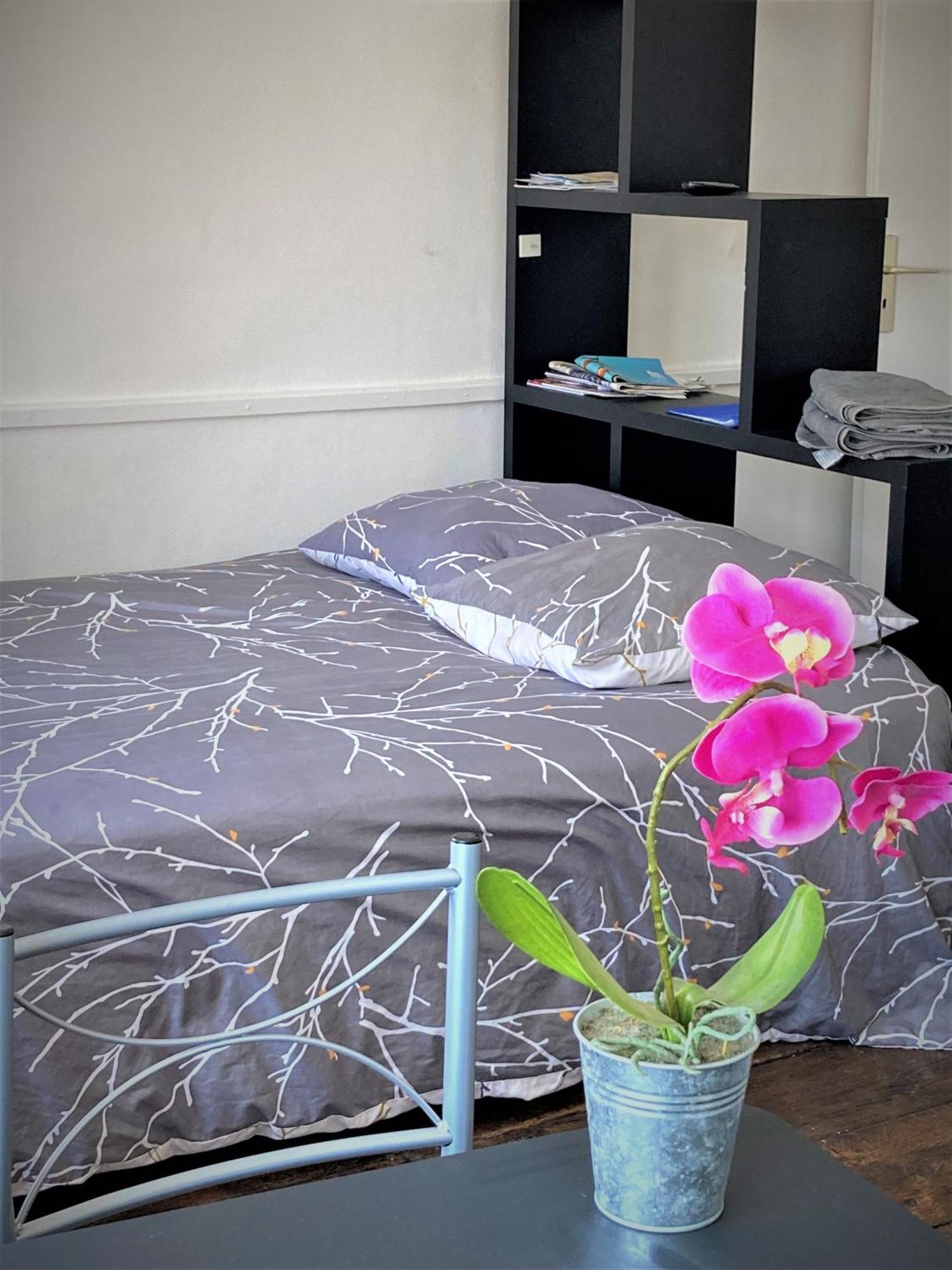 Studio Double 31 Centre De Limoges Wifi Buitenkant foto